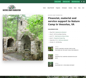 Website Design