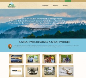 Website Design