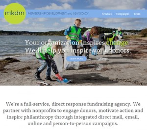 Website Design