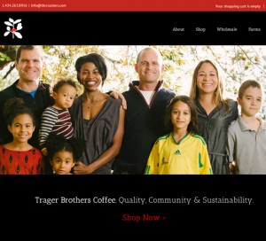 Website Design