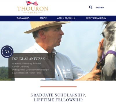 Website Design