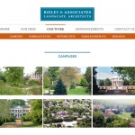 Website